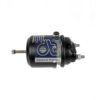 DT 10.34403 Spring-loaded Cylinder